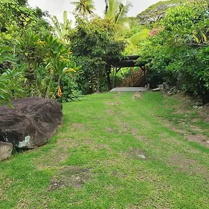  Appartement Ohana Location Ravissant Appart Spacieux Parking Gratuit A